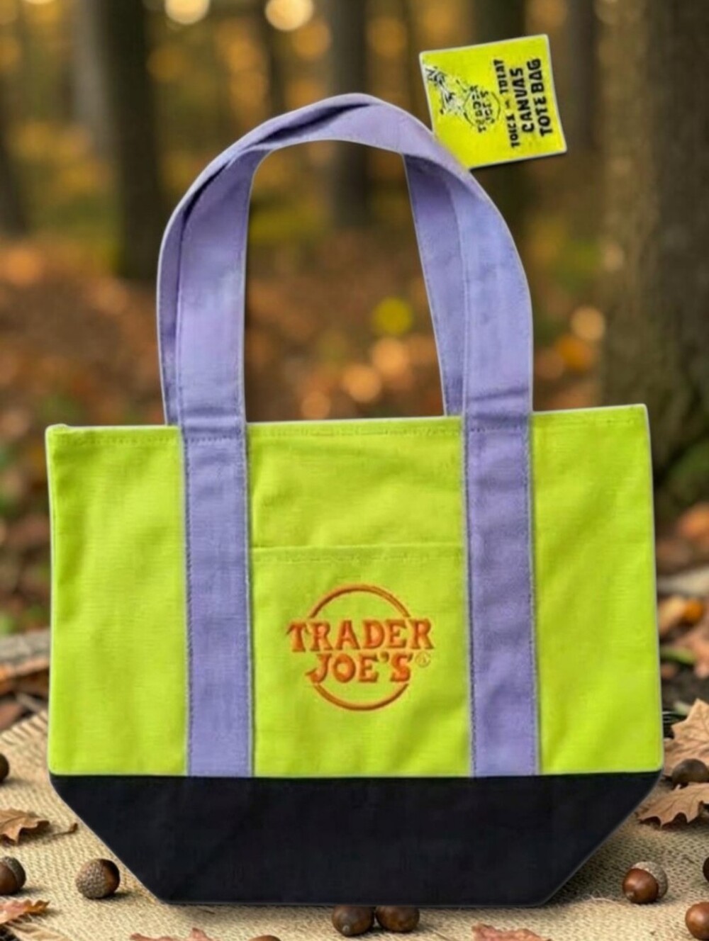 Trader Joe's Canvas Mini Tote Bag - Multi Lime Green